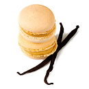 White Vanilla Sugar Sweet Aromatic