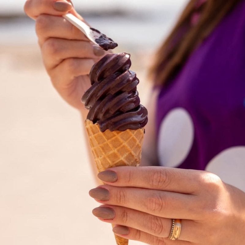 fornecedor-de-acai-portugal-4